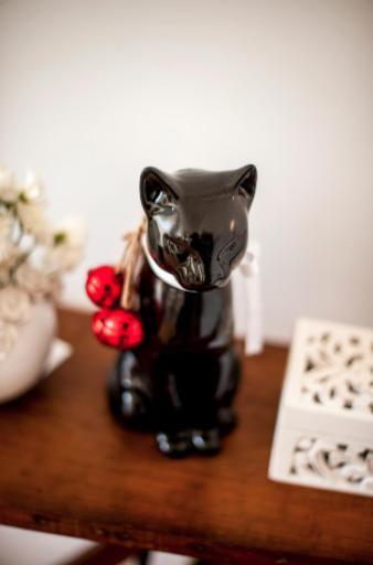 The Black Kitten II Калдаш-да-Раинья Экстерьер фото